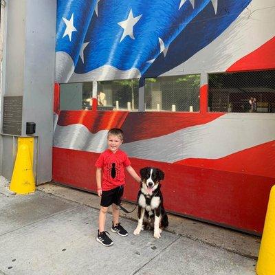 Dog Training In Public