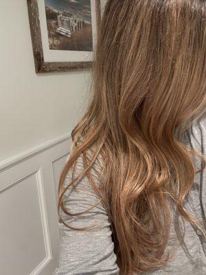 Shiny smooth blow dry