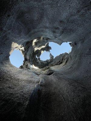 Keifer's Giant Sequoia Tours