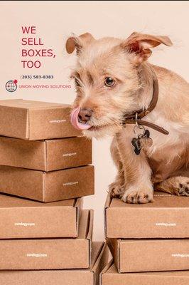Contact Us For Boxes, Tape and Bubble Wrap (203) 583-8250