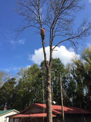 Huff's Tree Service and Handyman