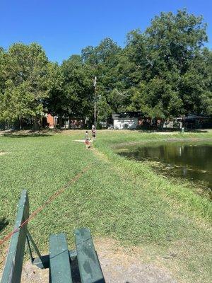 Brown Singleton Park