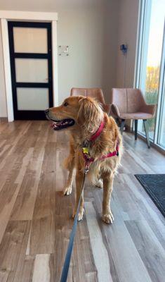 Eagle Rock Veterinary Clinic