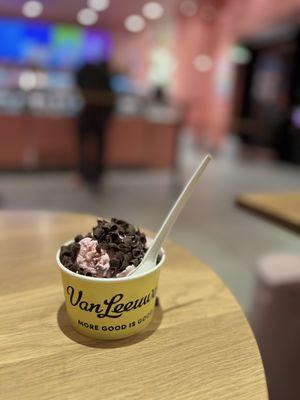 Van Leeuwen Ice Cream