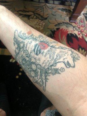 Aardvark Tattoo Company