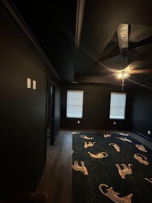 Precision Paint and Build