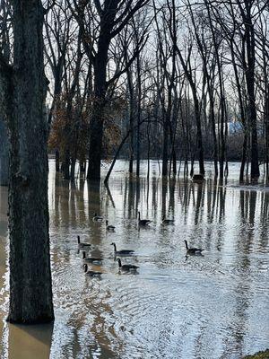 Foster Park and Golf Course
