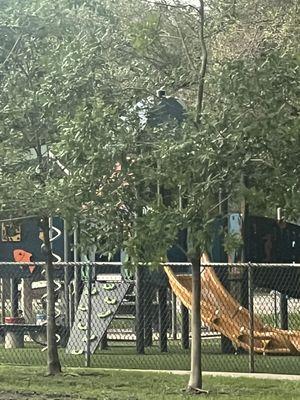 Island City Park Preserve