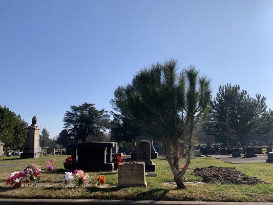 Masonic Lawn Cemetery