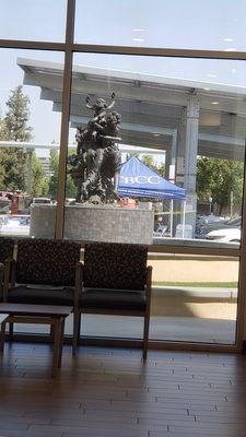 Comprehensive Blood & Cancer Center