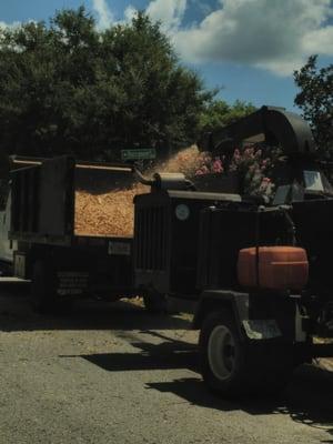 What About Bob's Tree Service