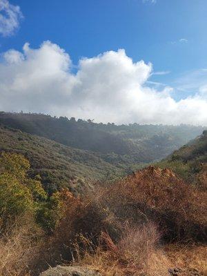 Sullivan Canyon Preservation