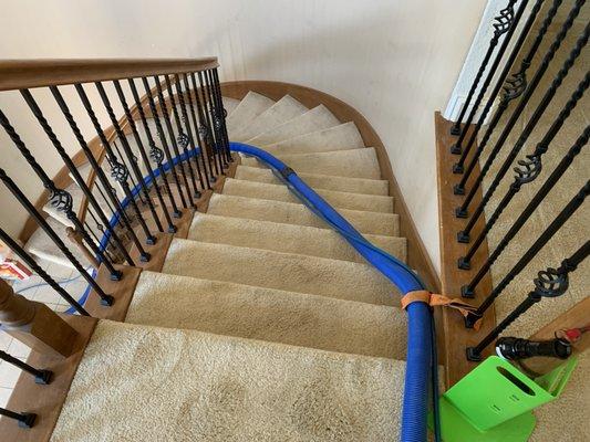 Legend Restoration Carpet and Floor Division