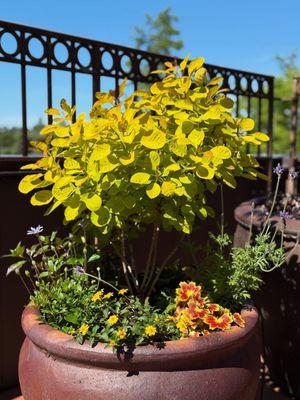 Trillium Landscape Design