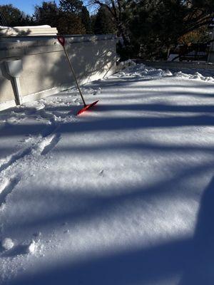 Pineda Junk Services