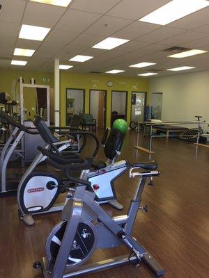 Zenith Physical Therapy