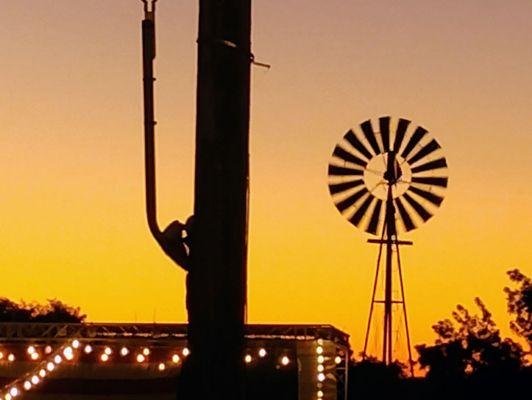 Drive Pros Limousine Service