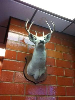 Above the water fountain