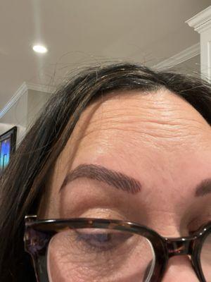Elite Institute of Micropigmentation