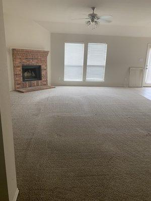 Wally's Carpet Cleaning