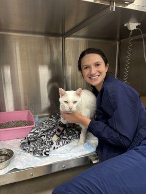 Pointe 183 Animal Hospital & Urgent Care