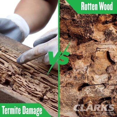Clark's Termite & Pest Control