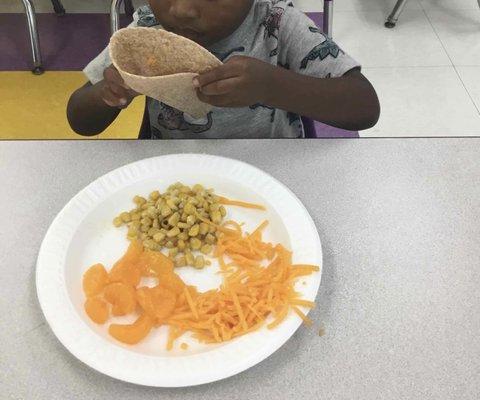 TLE's representation of Cheese quesadilla