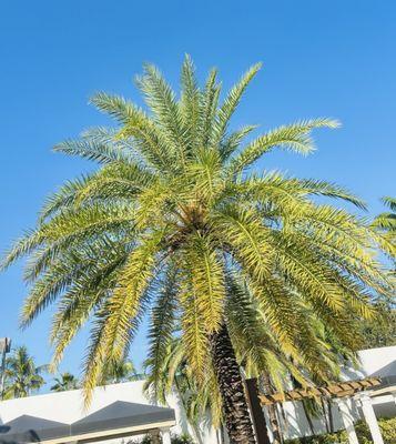 The Club Fort Lauderdale