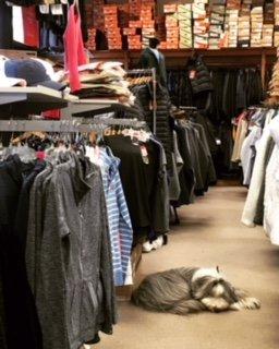 Squire's Family Clothing & Footwear