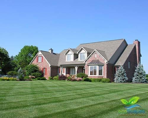 EcoScapes of Elkhorn