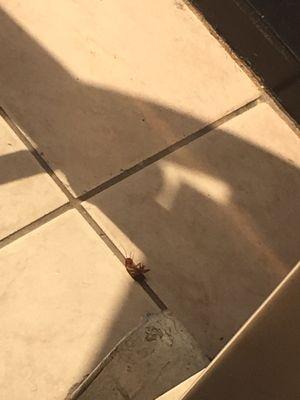 Alameda Industrial Medical Group