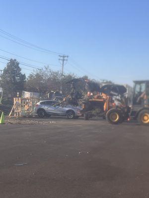 Webster Tree Service