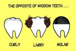 HA HA HA. Just a little bit of humor for ya on this beautiful Tuesday morning!