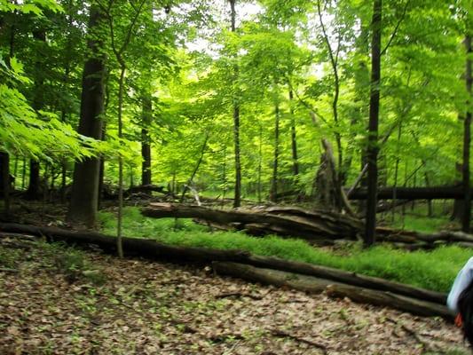 City of Mentor Parks & Recreation