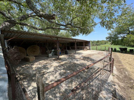 S13 Lawncare & Landscape