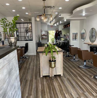 Salon Society