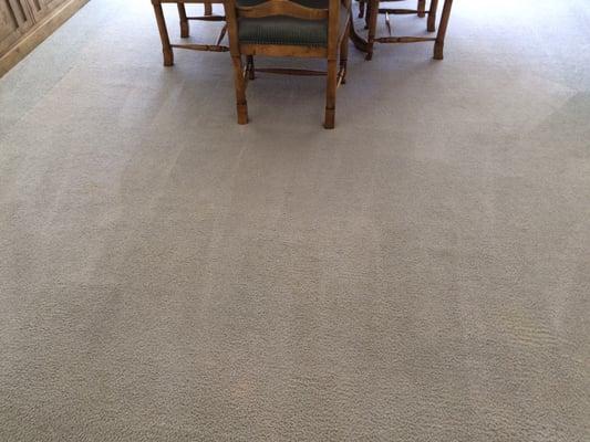 Ding room carpet. All the dog stains are GONE!! Great job