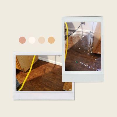 L&P Cleaning + Organizing Services