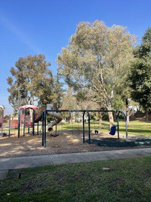 Swings and disability swing