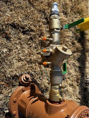 A Backflow