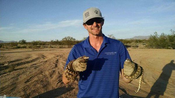 Arizona Wildlife Control