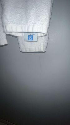 Hair on the right corner of the towel