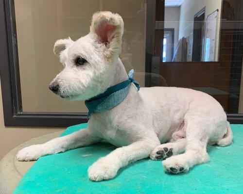 He came out looking better than I could've ever hoped for