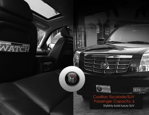 Luxury Transportation Group