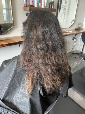 Pacific Northwest Hair