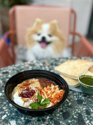 Mezze Plate: Baba ganoush, muhamarra, labneh, matbucha, carrot salad, olives & pita ($17) + Schug ($2)