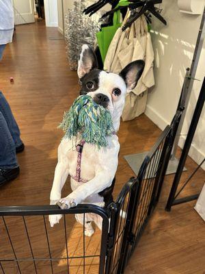 Apricot Lane Boutique