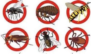 Mr. Perfecto Extermination and Cleaning