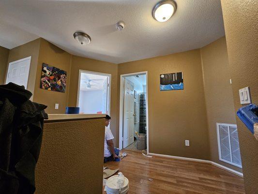 Sparkle Painting and Drywall