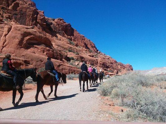 Horseback trail rides.